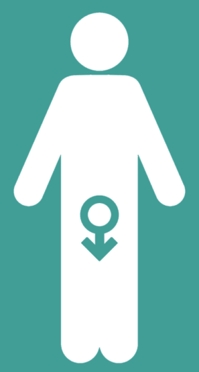 Men's helplessness and increase in a member