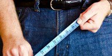 Size of male genitalia